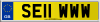 SE11 WWW