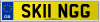 SK11 NGG