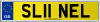 SL11 NEL