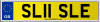 SL11 SLE