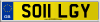 SO11 LGY