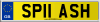 SP11 ASH