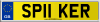 SP11 KER