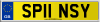 SP11 NSY