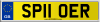 SP11 OER