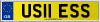 US11 ESS