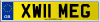 XW11 MEG