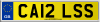 CA12 LSS