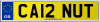 CA12 NUT