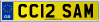 CC12 SAM