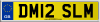 DM12 SLM