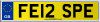 FE12 SPE
