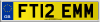 FT12 EMM