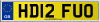 HD12 FUO