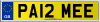 PA12 MEE