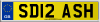 SD12 ASH
