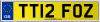 TT12 FOZ