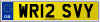 WR12 SVY