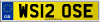 WS12 OSE