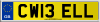 CW13 ELL