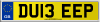 DU13 EEP