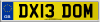 DX13 DOM