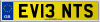 EV13 NTS