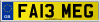 FA13 MEG