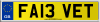 FA13 VET