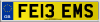 FE13 EMS