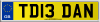 TD13 DAN
