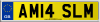 AM14 SLM