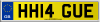 HH14 GUE