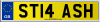 ST14 ASH