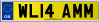 WL14 AMM
