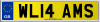WL14 AMS