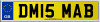 DM15 MAB