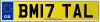 BM17 TAL