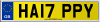 HA17 PPY
