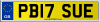 PB17 SUE
