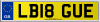 LB18 GUE