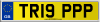 TR19 PPP