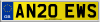 AN20 EWS