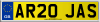 AR20 JAS