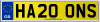 HA20 ONS