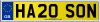 HA20 SON