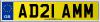AD21 AMM