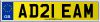 AD21 EAM
