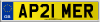AP21 MER