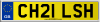 CH21 LSH
